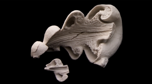 The Errorists - Paracultural Arc - full fillet 1/2 section in porcelain